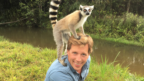 Madagaskar - Endemische dieren